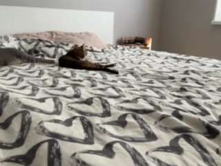Lisa live webcam show