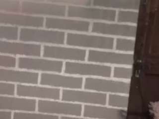 LuckyPenis91