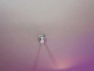 antonellastarr webcam