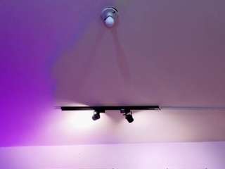 antonellastarr webcam