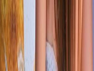 antonellastarr