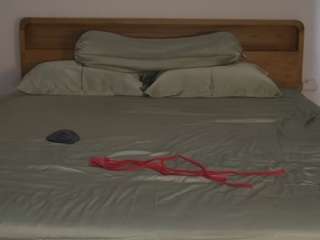 timissi live cam profile