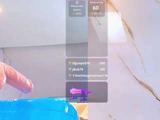 isis-car0lina webcam