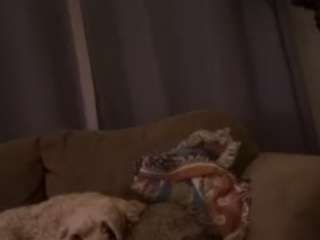 hungspunnstud webcam model