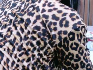 mia-bellefort webcam