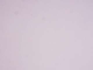 sanjuanadamiano webcam