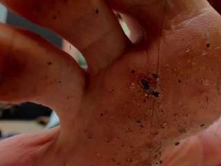 Live webcam model sherilk1 on Soda Cams