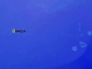 dina-bloom