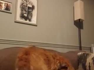 hixxy10255 Sex Cam Show