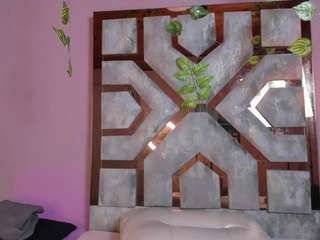 electra-gosselin webcam