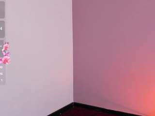electra-gosselin webcam
