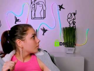 veri-ni webcam model