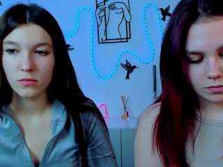 veri-ni webcam model