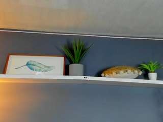 kira-exe live cam profile