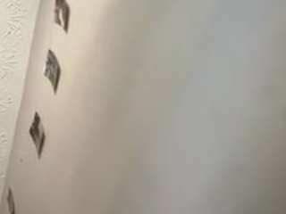 lilladynice
