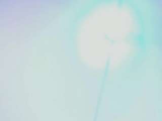 zara-rosse