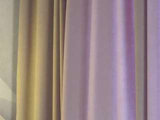 belle-phine Live Webcam on CamSoda