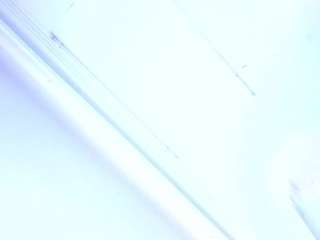 ariagreenn