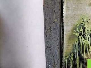 belindarosenberg webcam