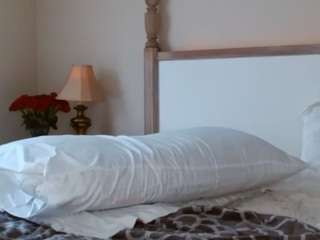 jessellevega live webcam show