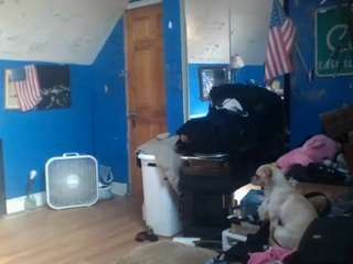 leticiafox77 Sex Cam Show