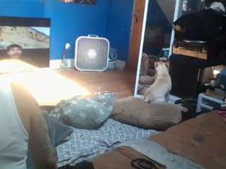 leticiafox77 Sex Cam Show