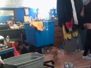 leticiafox77 live cam preview