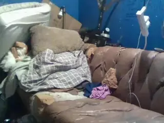 leticiafox77