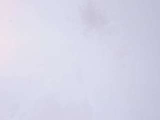 ashanti-moreno live cam profile