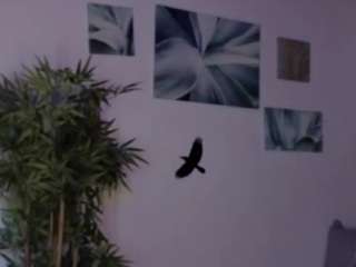 eloiise