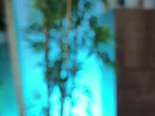 eloiise live webcam show