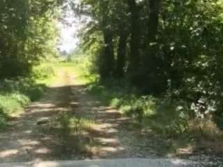 bobajaweed176 Sex Cam Show
