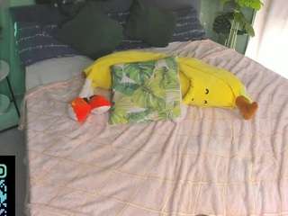 misslisaa webcam model