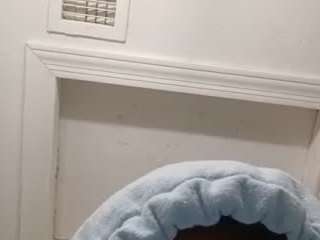 daeskiiiiotbbd live cam preview