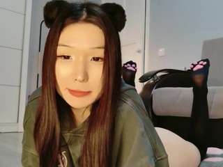 dju-lu webcam