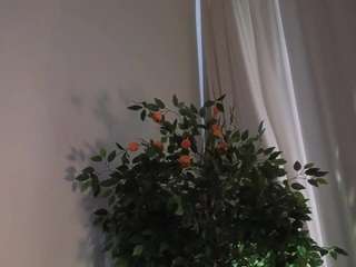 alicelidell8