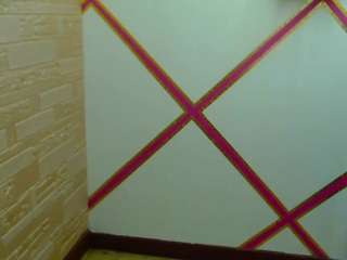 heidycolins webcam model