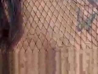 melanie26 Porn