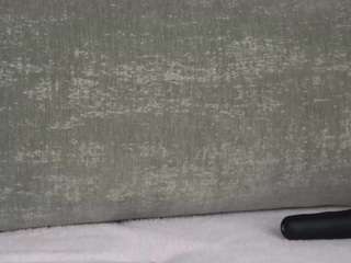 claribelweihe webcam