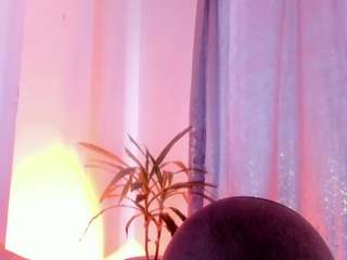 vaiolet-hot