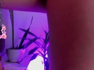 vaiolet-hot