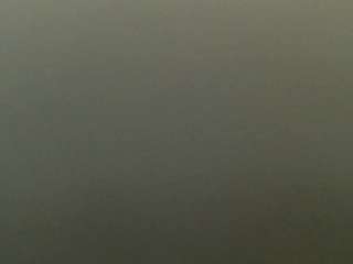 carolinapetra Live Webcam on CamSoda