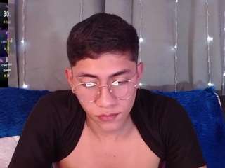 atlasvand webcam model