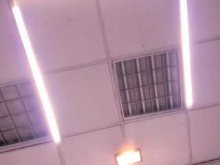 issysleblanc