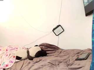 ariannatrip