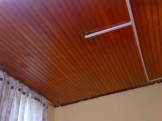 sofi-cutte webcam model