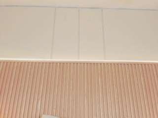 nahimithompson webcam