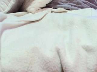 amySwann