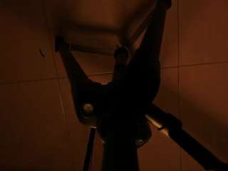BigGiraffePulley