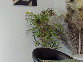 BlueEyesDesire live cam preview